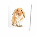 Begin Home Decor 32 x 32 in. Lop-Rabbit-Print on Canvas 2080-3232-AN371